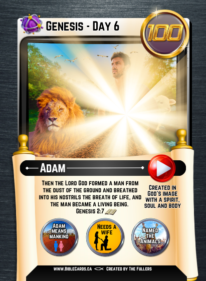 Genesis Edition Bible Cards - Pack of 26 Trading Cards - Carrom Canada
