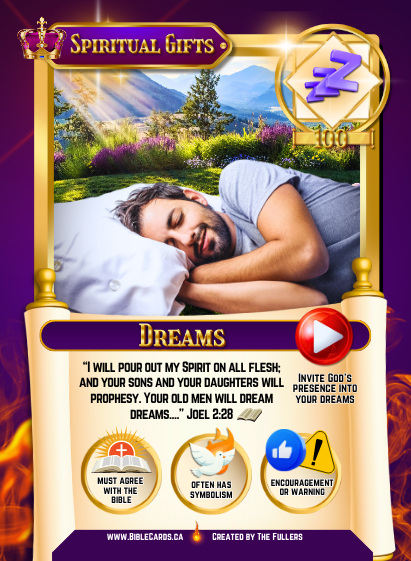 Dunamis Edition Bible Cards - Pack of 29 Trading Cards - Carrom Canada