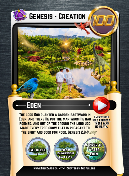 Genesis Edition Bible Cards - Pack of 26 Trading Cards - Carrom Canada