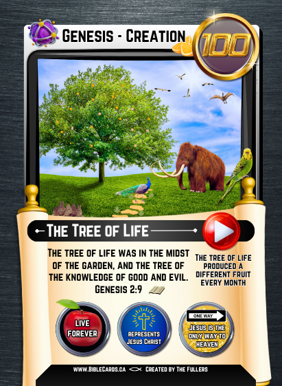 Genesis Edition Bible Cards - Pack of 26 Trading Cards - Carrom Canada