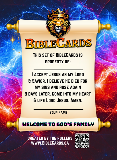 Armor of God Edition Bible Cards - Pack of 29 Trading Cards - Carrom Canada