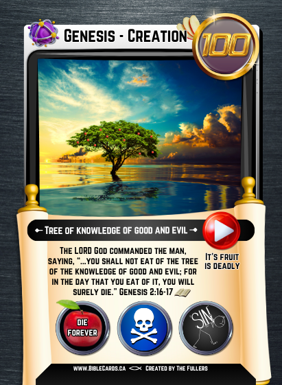 Genesis Edition Bible Cards - Pack of 26 Trading Cards - Carrom Canada