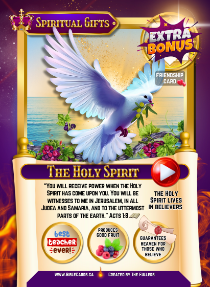 Armor of God Edition Bible Cards - Pack of 29 Trading Cards - Carrom Canada