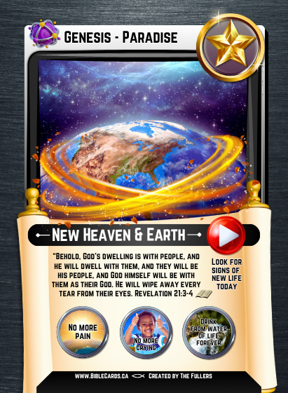 Genesis Edition Bible Cards - Pack of 26 Trading Cards - Carrom Canada