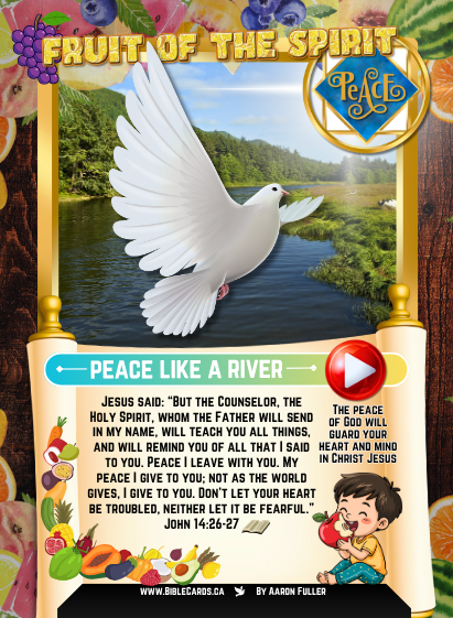 Fruit of The Spirit Edition Bible Cards - Pack of 29 Trading Cards - Carrom Canada