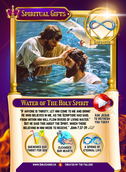 Dunamis Edition Bible Cards - Pack of 29 Trading Cards - Carrom Canada